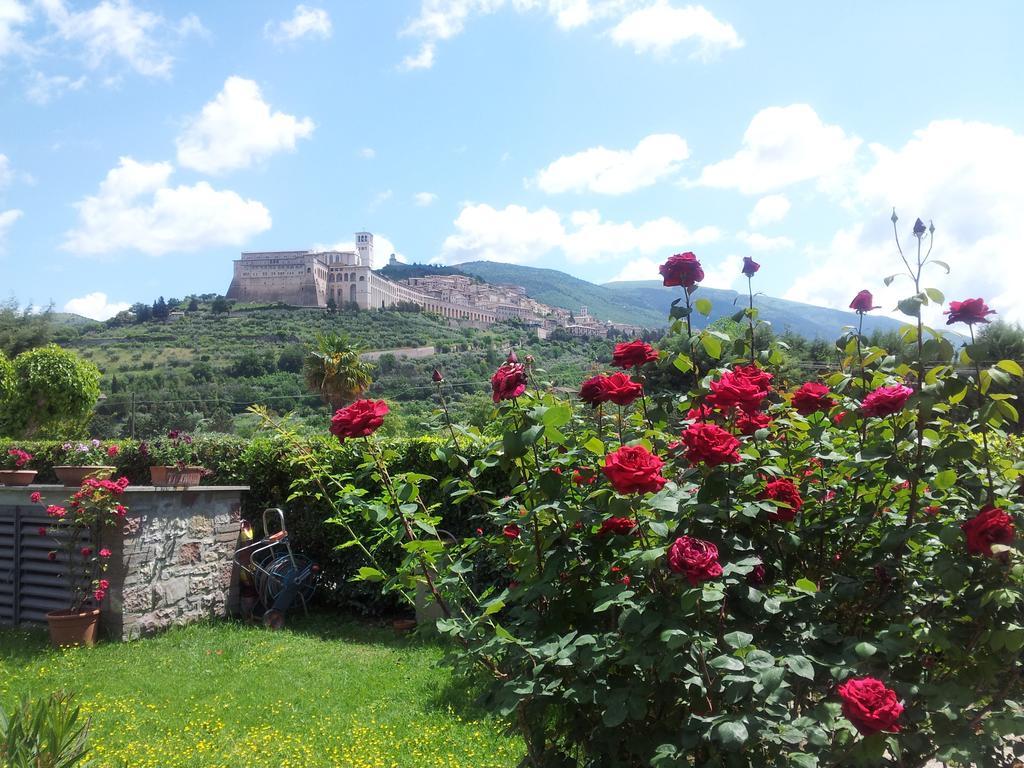 B&B Barbara Assisi Cannara Cameră foto